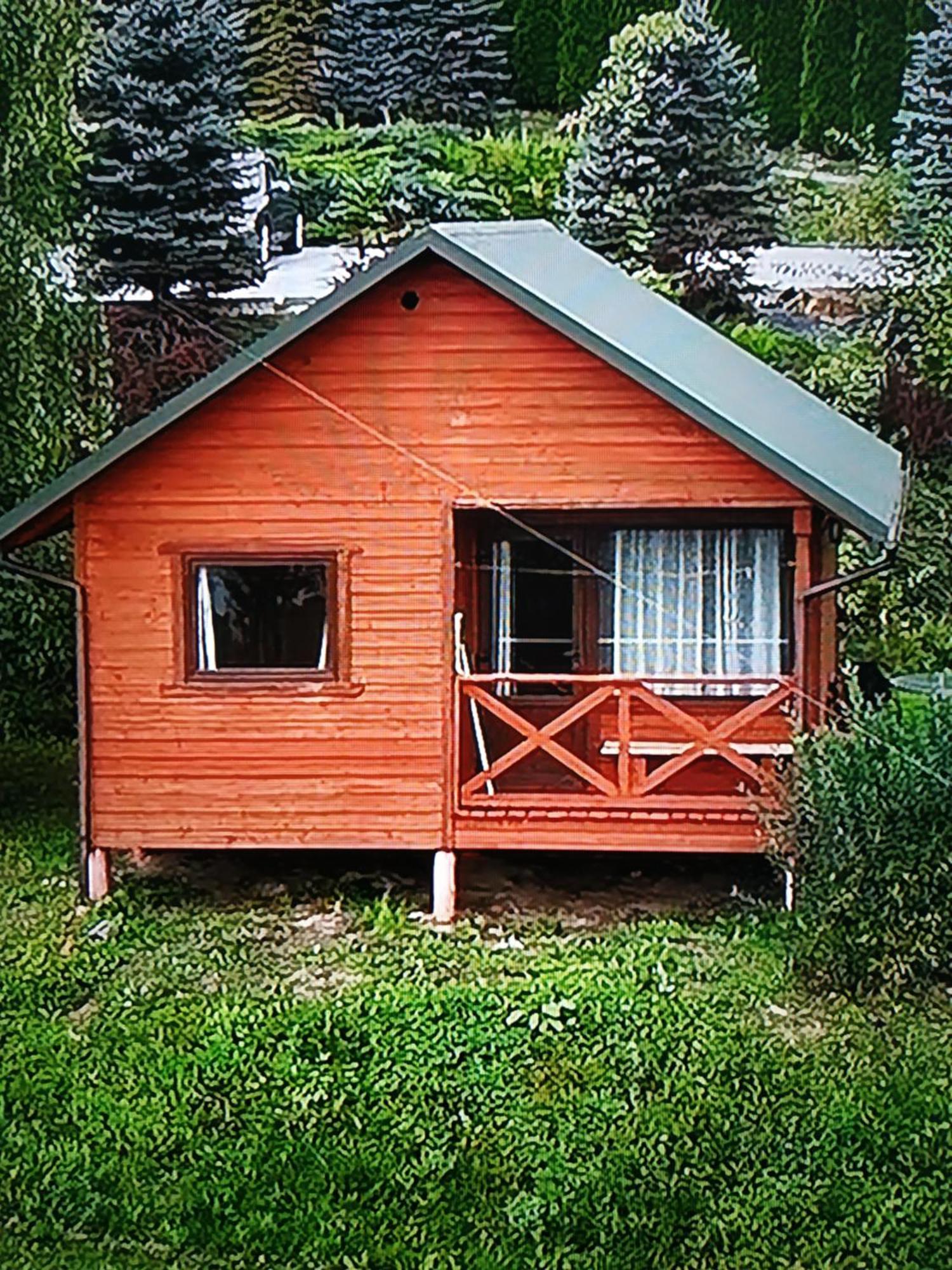 Farm stay Wilkowka
