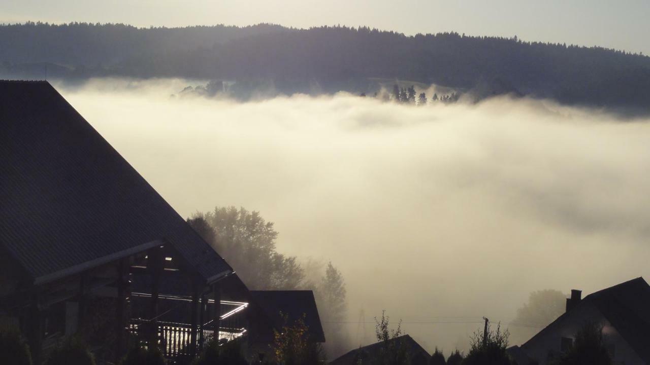 Wilkowka *